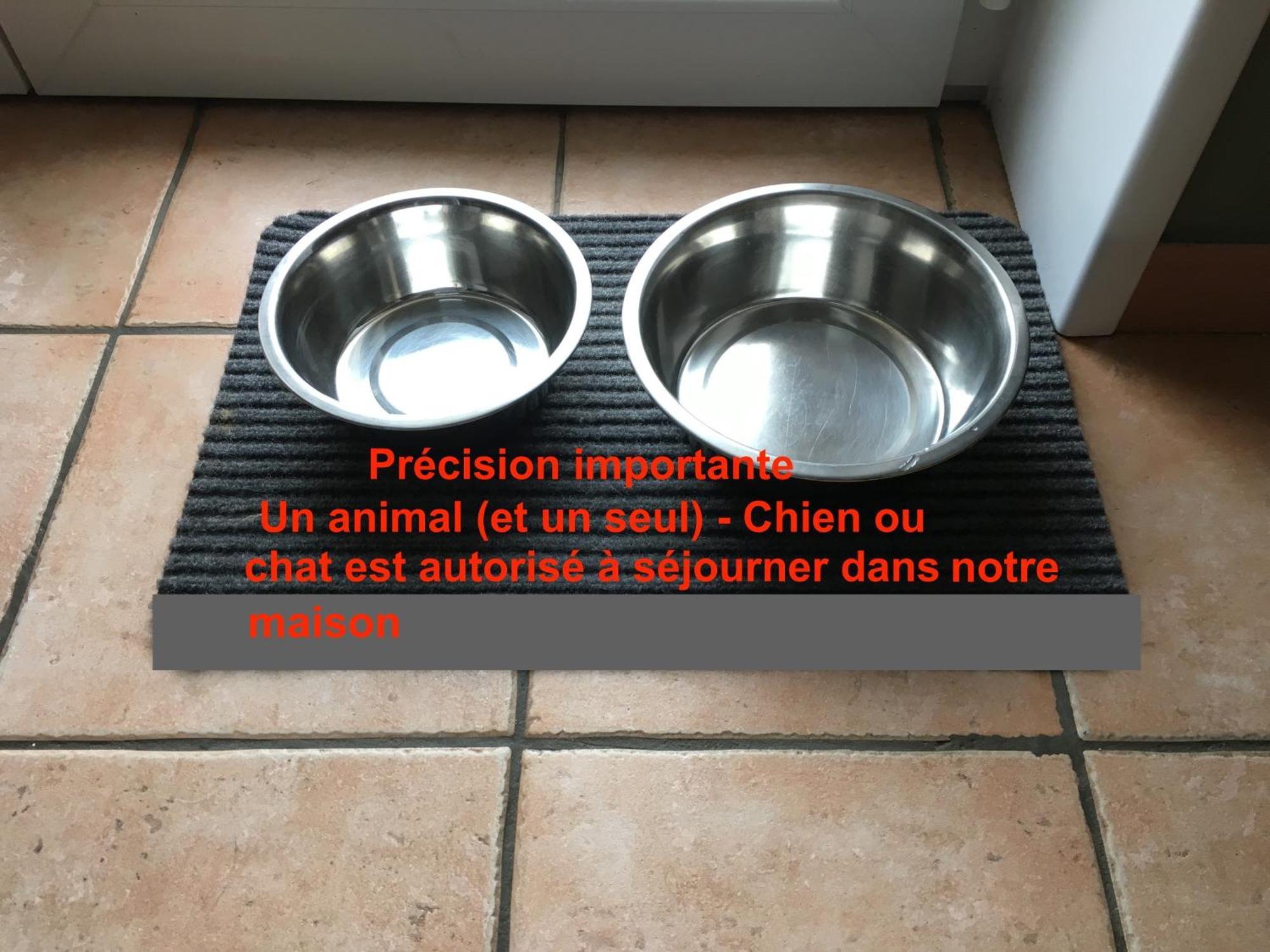Maison De Village Avec Jardin 15Mn Des Plages, Wifi, 2 Chambres, Jardin Hesdin-lʼAbbé エクステリア 写真